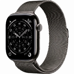 Умные часы Apple Watch Series 11 46 мм, Slate Titanium Case with Slate Milanese Loop, M/L