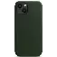 Apple iPhone 13 Leather Case (MM173), sequoia green, Зеленая секвойя