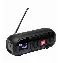 Портативная колонка JBL Tuner 2, Black, черный