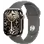 Умные часы Apple Watch Series 10 42 мм, S/M 130-200 мм, Titanium Case GPS+Cellular, Gray
