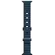 Умные часы Apple Watch Ultra 2 49 мм, Titanium Case with Ocean Band, Blue