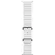 Умные часы Apple Watch Ultra 2 49 мм, Titanium Case with Ocean Band, White