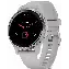 Смарт-часы Garmin Venu 2S Slate Bezel with Case and Silicone Band, Silver